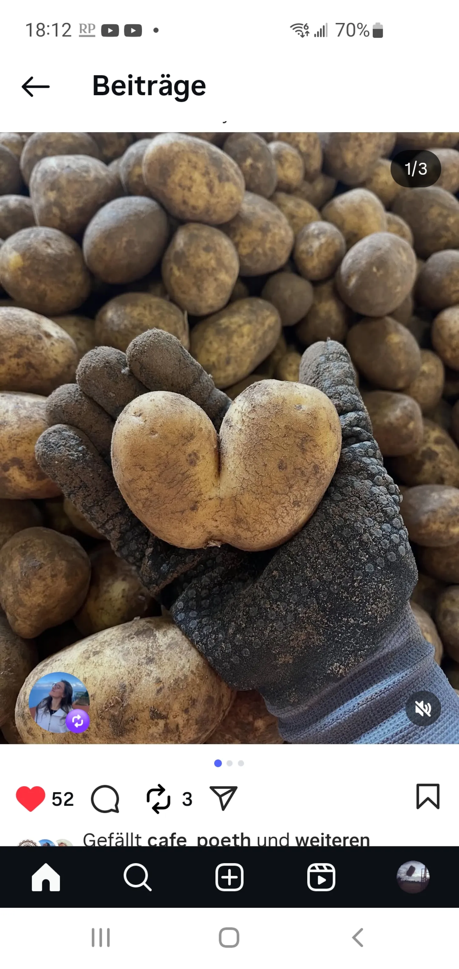 Aardappelen Jacky te koop, kleine maat