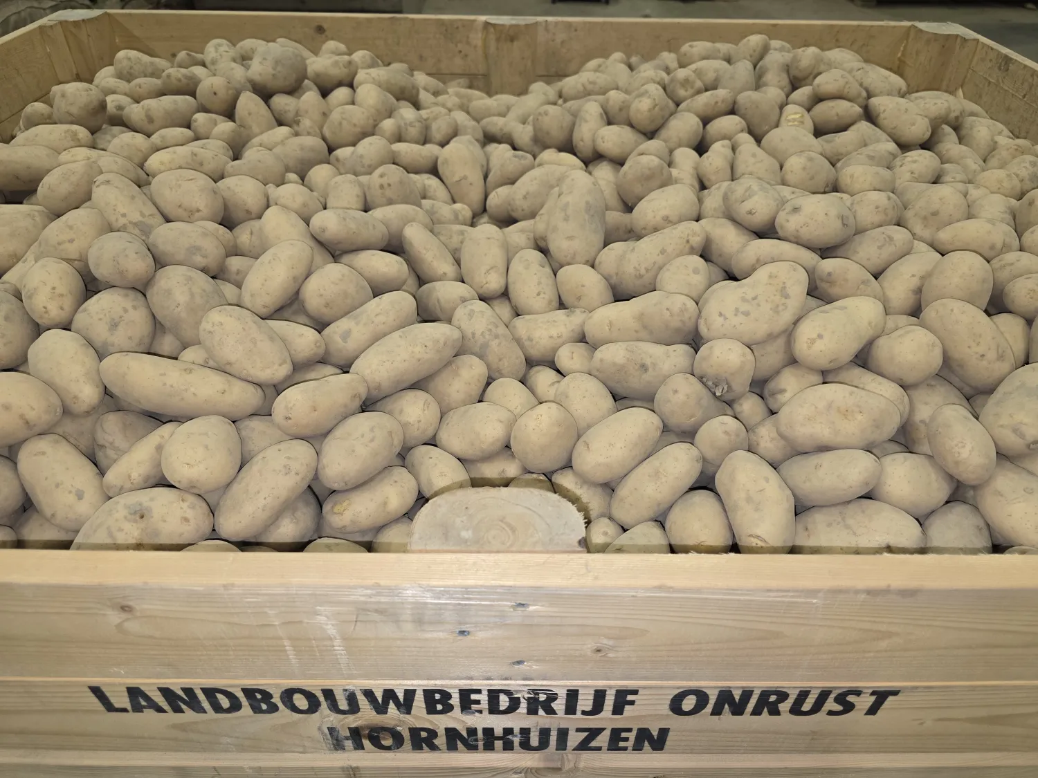 Spunta PB4/S Aardappelen, 35/55 - NAK Gecertificeerd