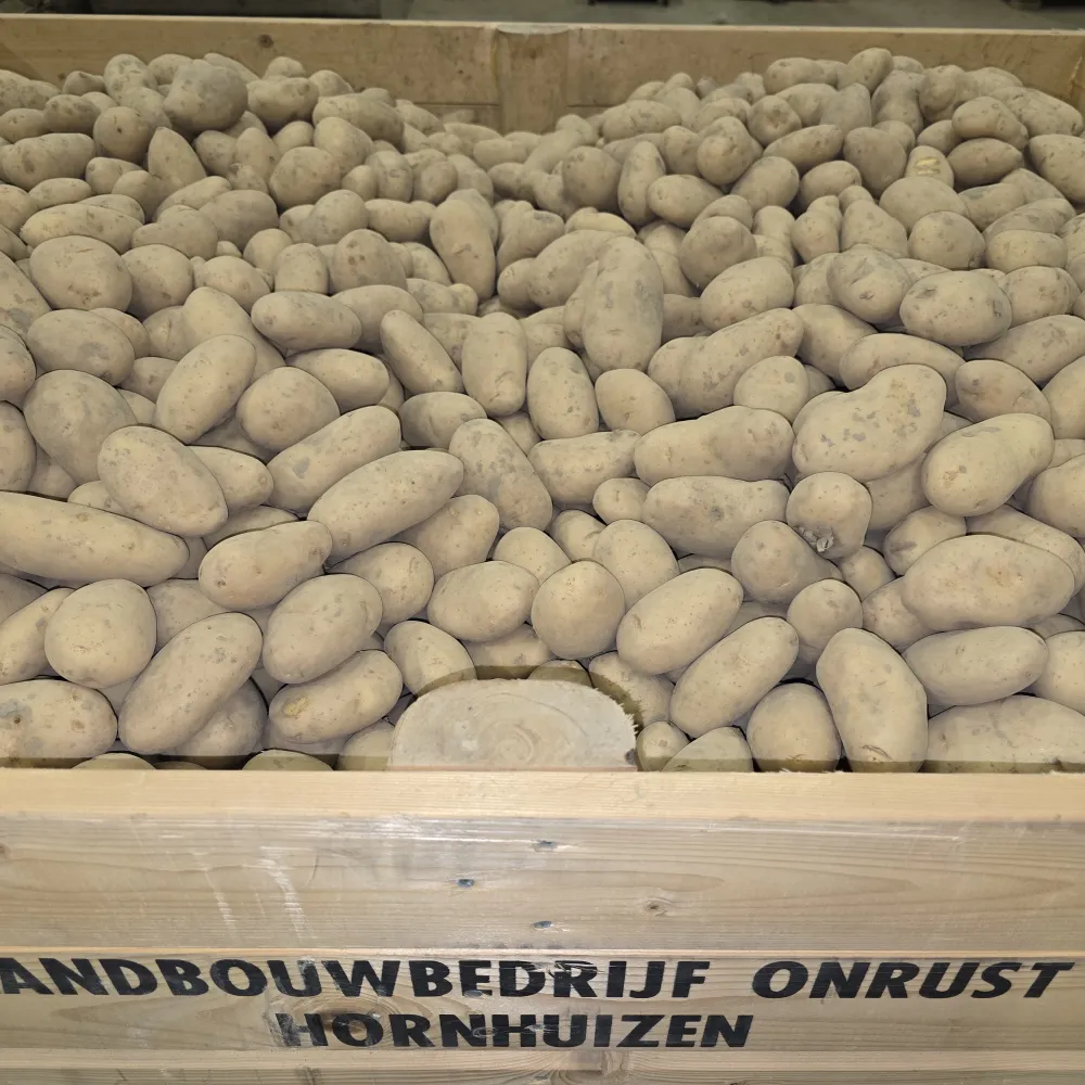 Werkman, Onrust