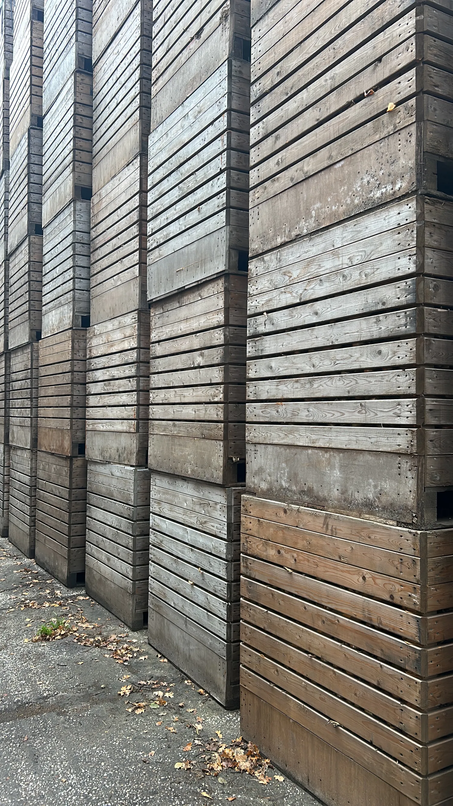 Gebruikte kisten kopen | Diverse partijen beschikbaar