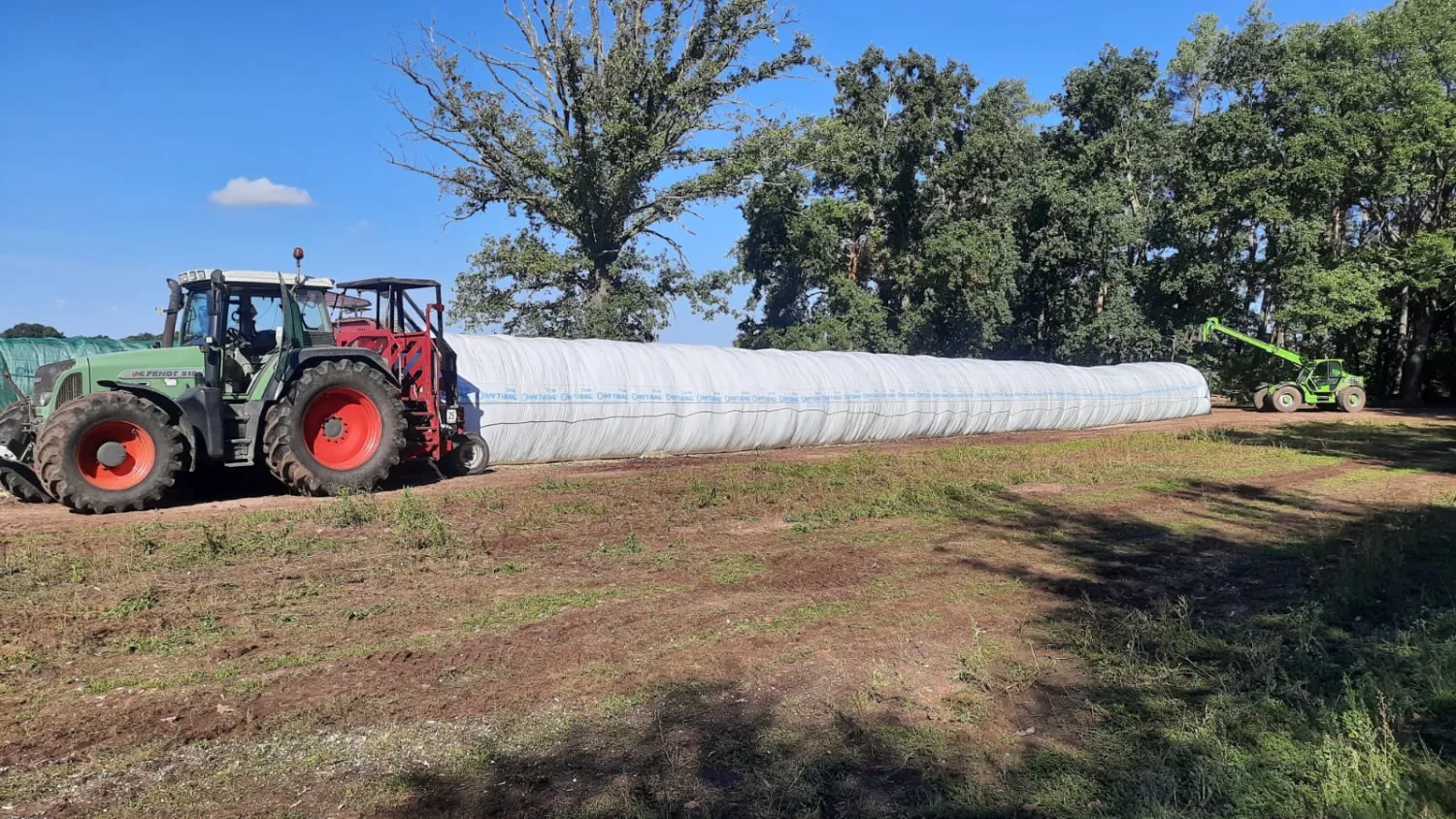 Kuilmaïs Topkwaliteit, 1000 Ton Beschikbaar