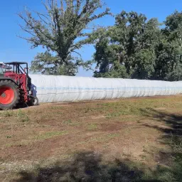 Kuilmaïs Topkwaliteit, 1000 Ton Beschikbaar