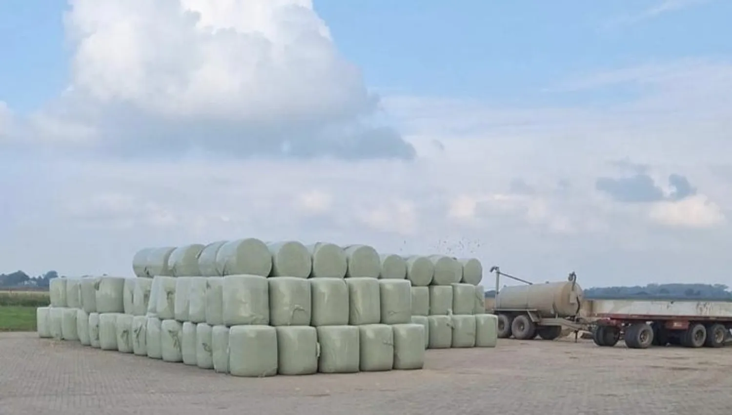 Maisbalen te Koop | Voedergewassen van Hoge Kwaliteit