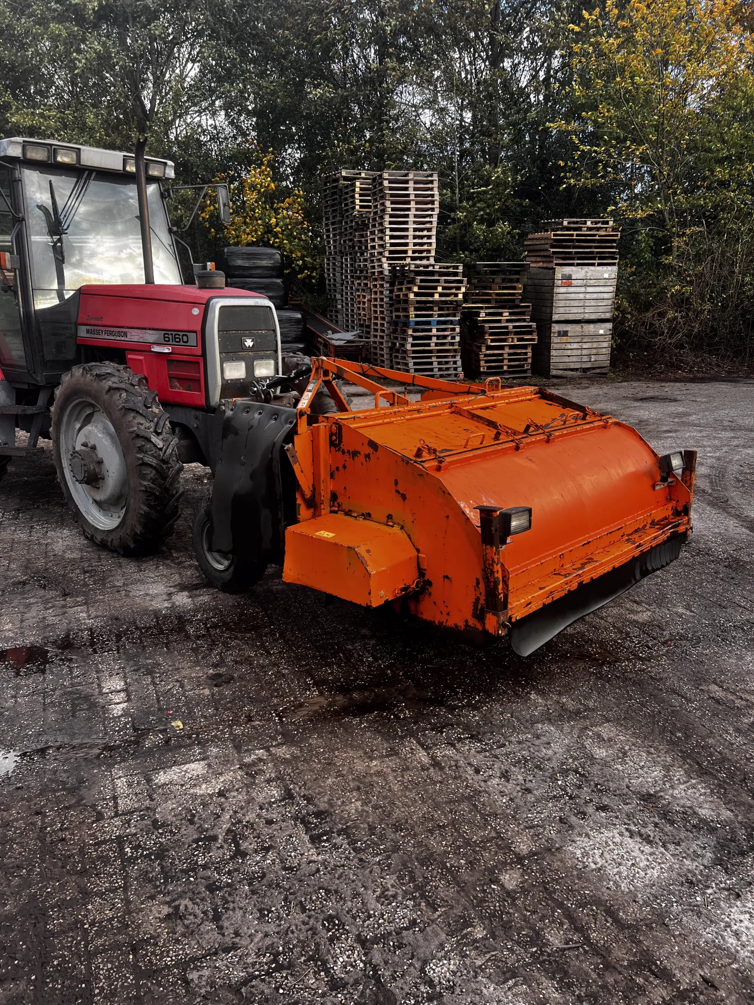 Gemüse-Blattschläger mit Förderband - Gebraucht, 2004