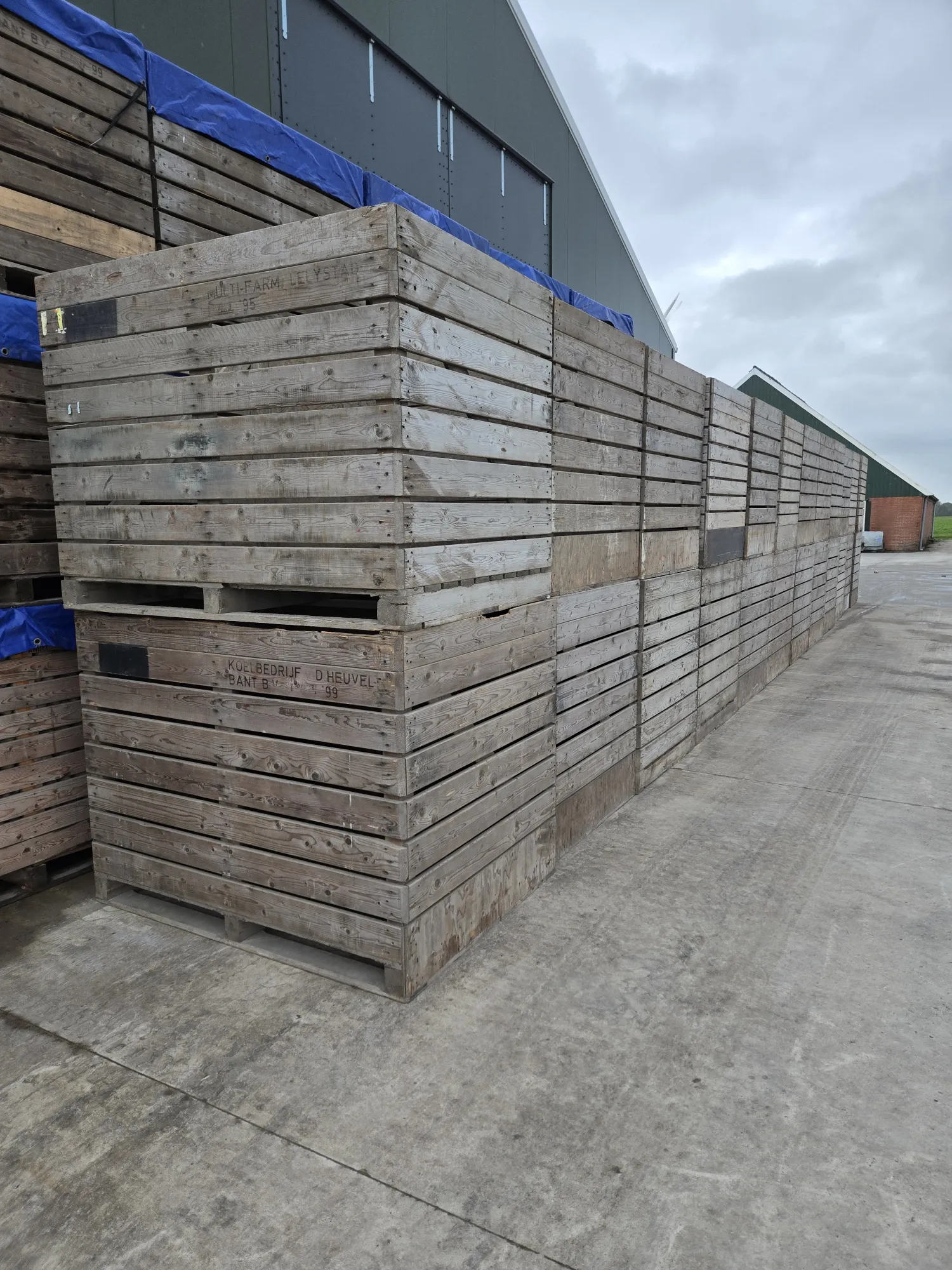 Gangbare kisten kopen | Landbouwkisten aanbieding