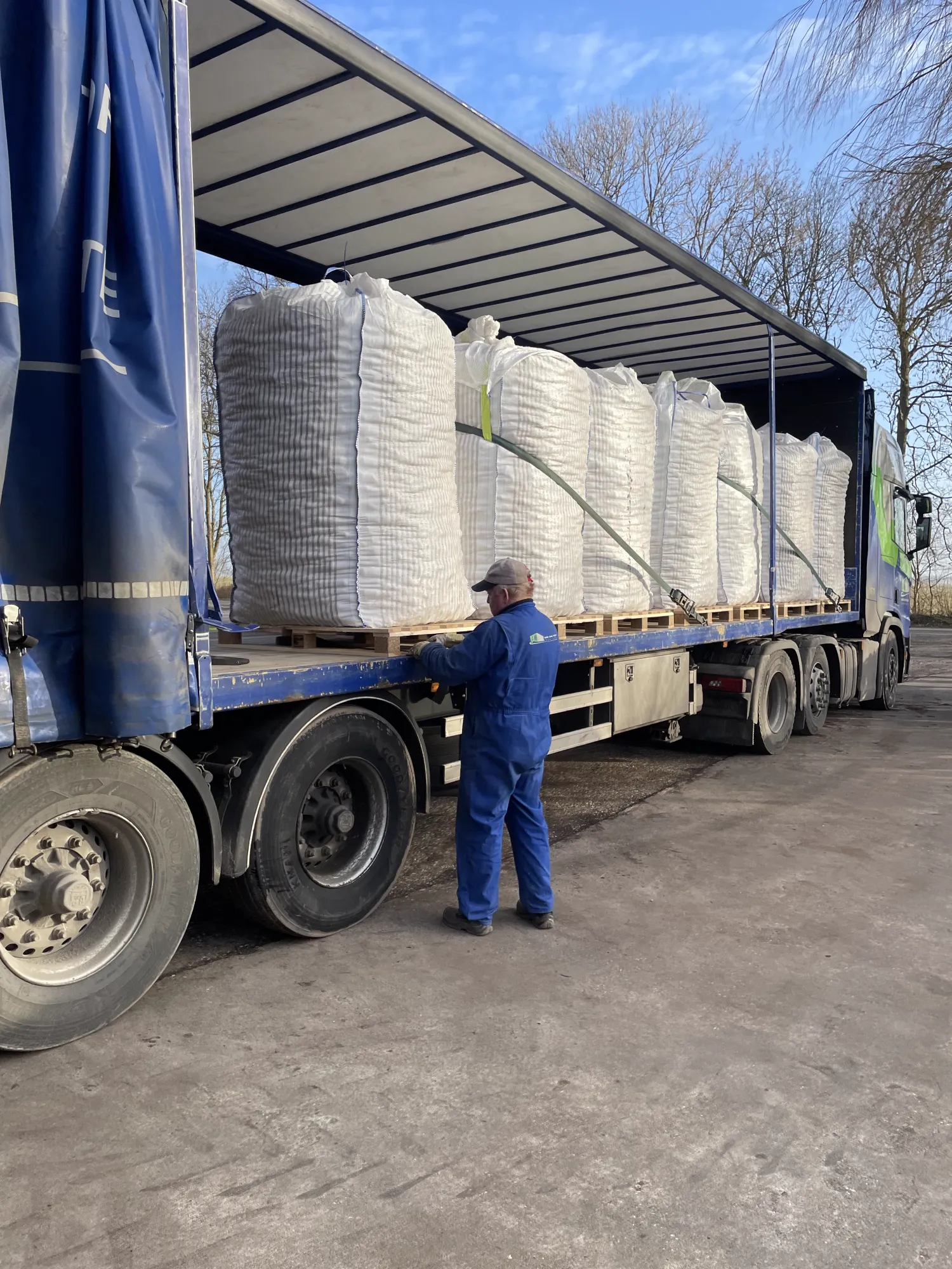 Διαθέσιμες πατάτες Agria PB3 & PB4 | Υψηλή ποιότητα