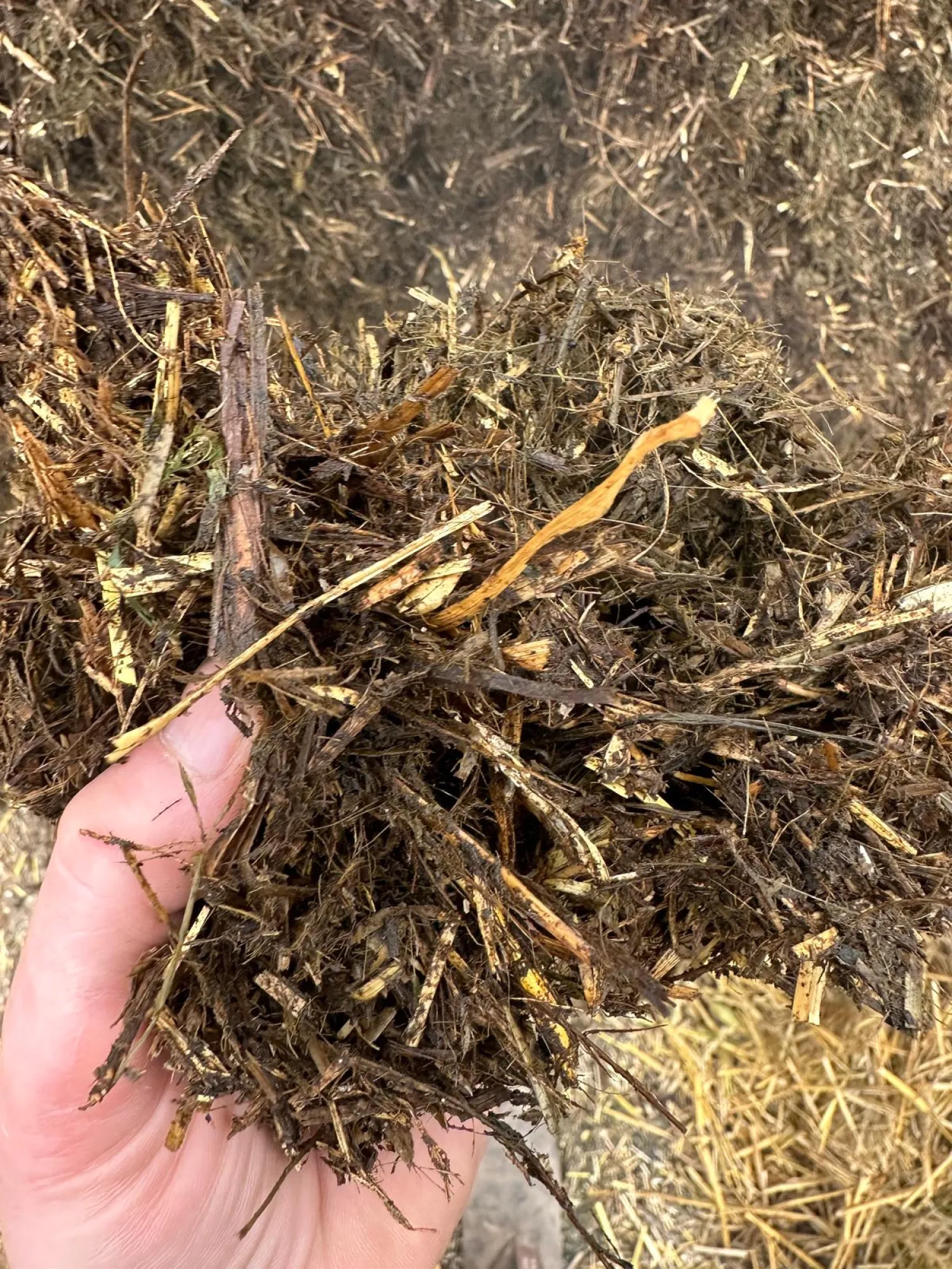 Biogasproductie optimaliseren: Shredden voor hogere opbrengsten