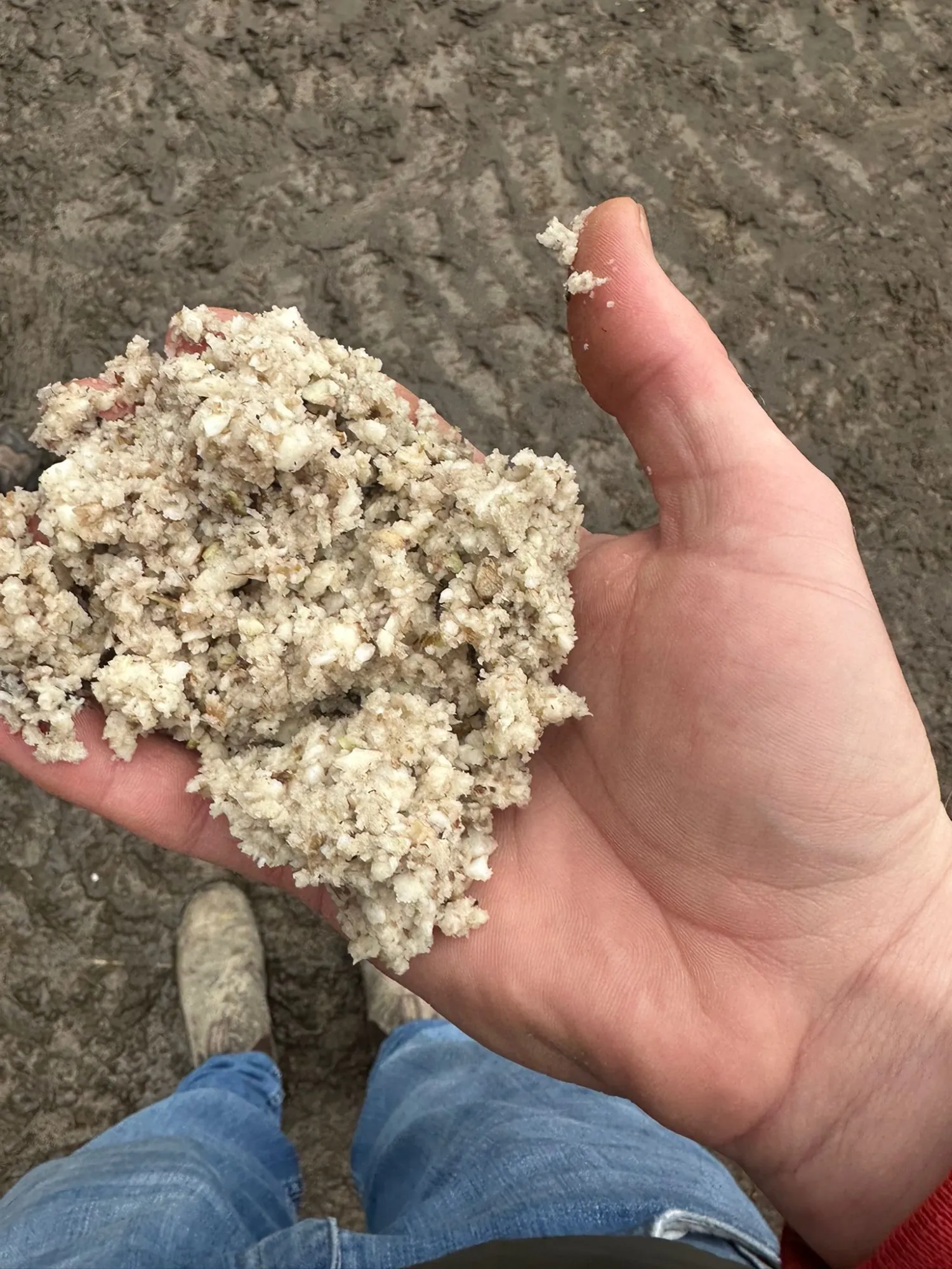 Biogasproductie optimaliseren: Shredden voor hogere opbrengsten