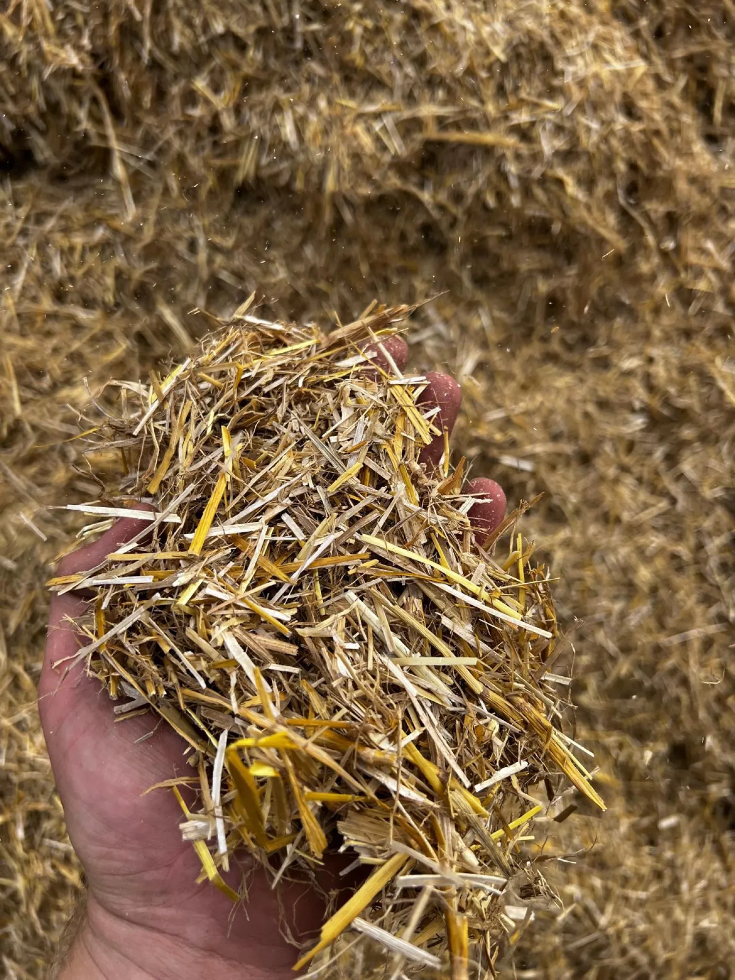 Biogasproductie optimaliseren: Shredden voor hogere opbrengsten