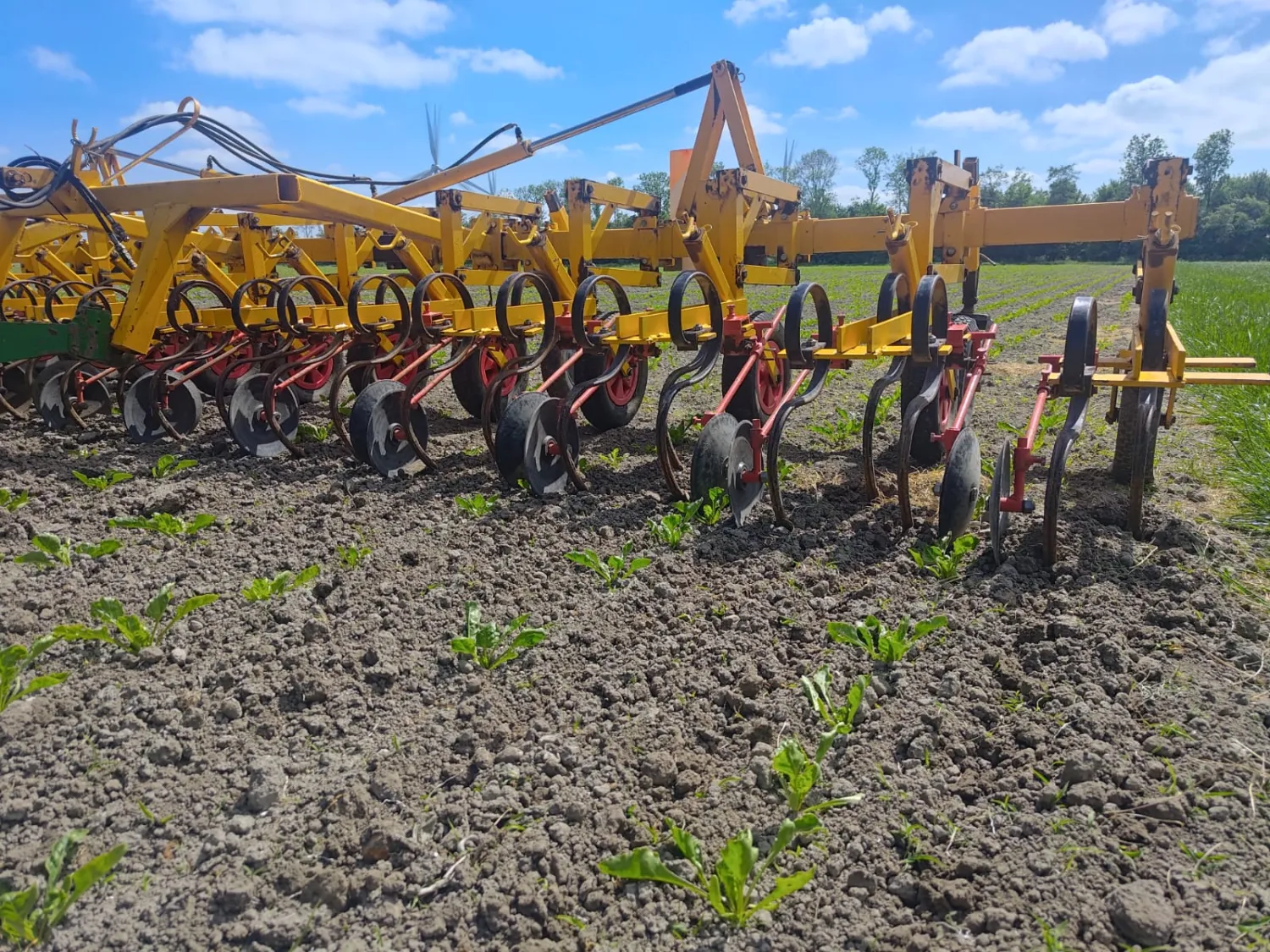 Schoffelbalk 12 rijen opklapbaar | Landbouwwerktuigen