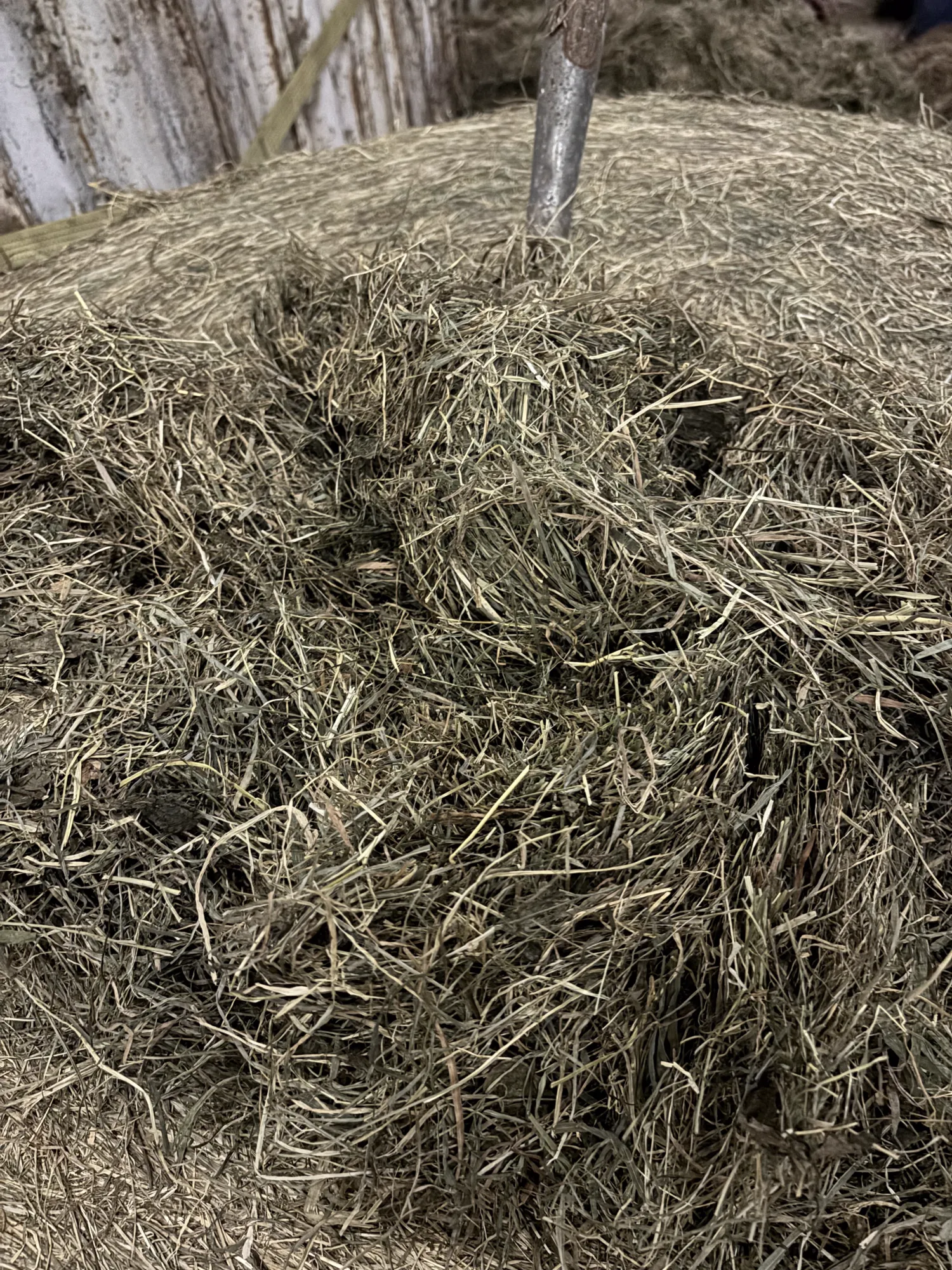 Alpacas de ensilaje seco 125cm: Heno ligeramente fertilizado a la venta