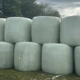 Pacas de heno ensilado en venta - Cosecha 2024/2025