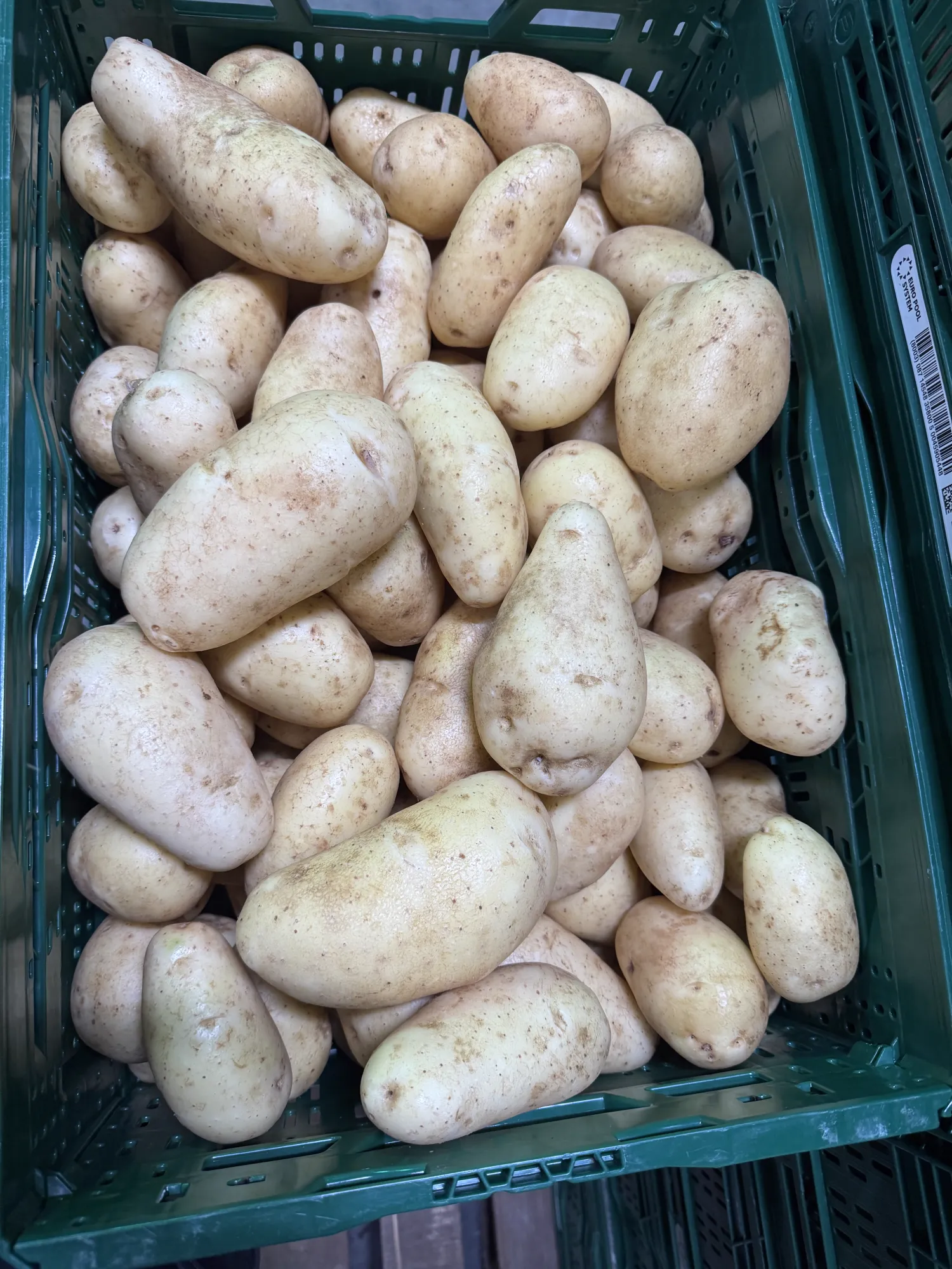 Grosse Speisekartoffeln kaufen – Direkt vom Erzeuger