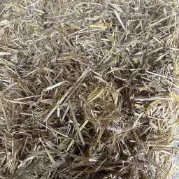 Gerst, Triticale & Tarwestro te koop | Vierkante balen