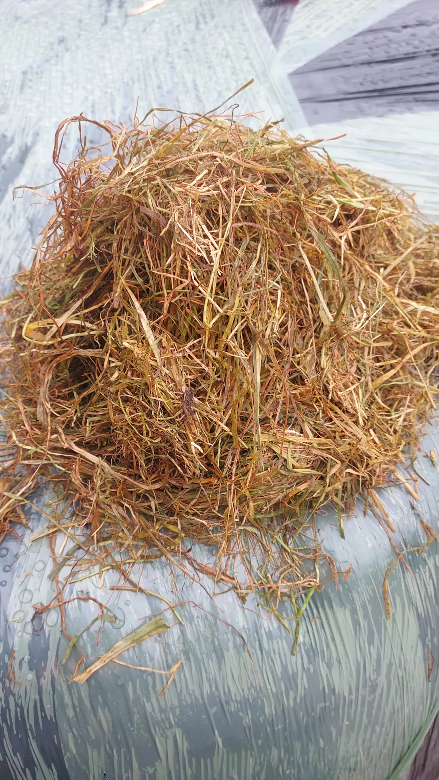 Ronde kuilbalen te koop - 3e snee najaars gras