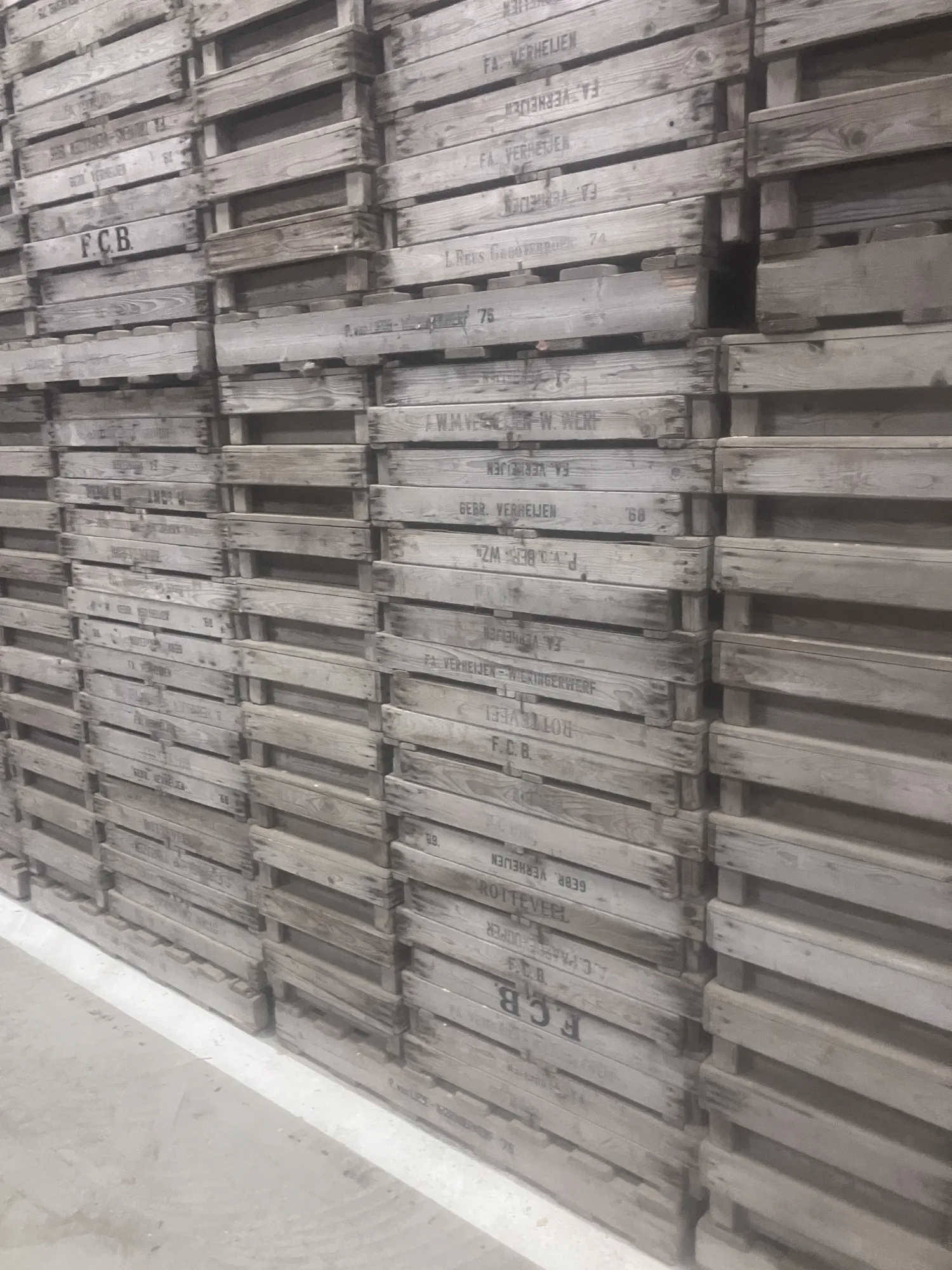 Gaasbakken 80x50 cm - Voordelig geprijsd