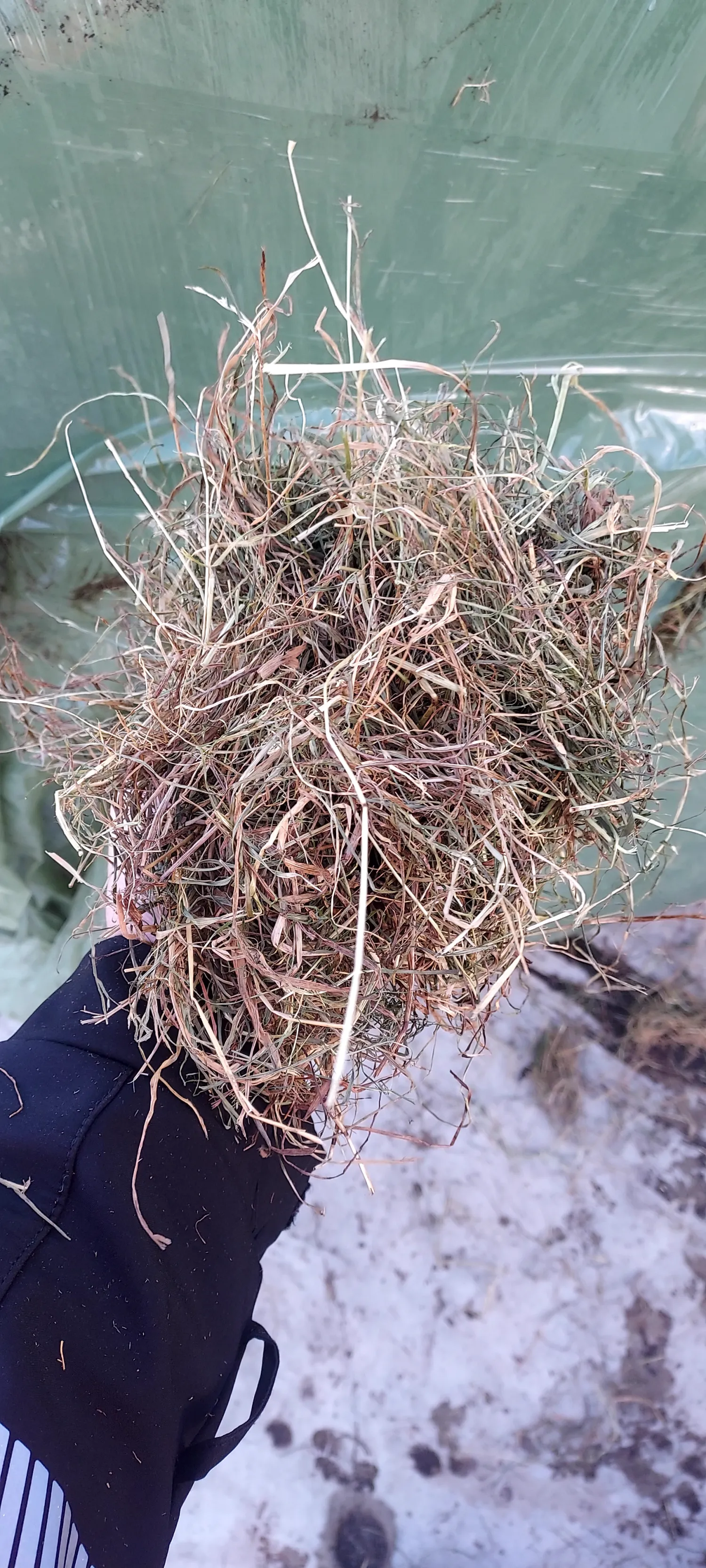 Ronde balen voor paarden | Topkwaliteit hooi