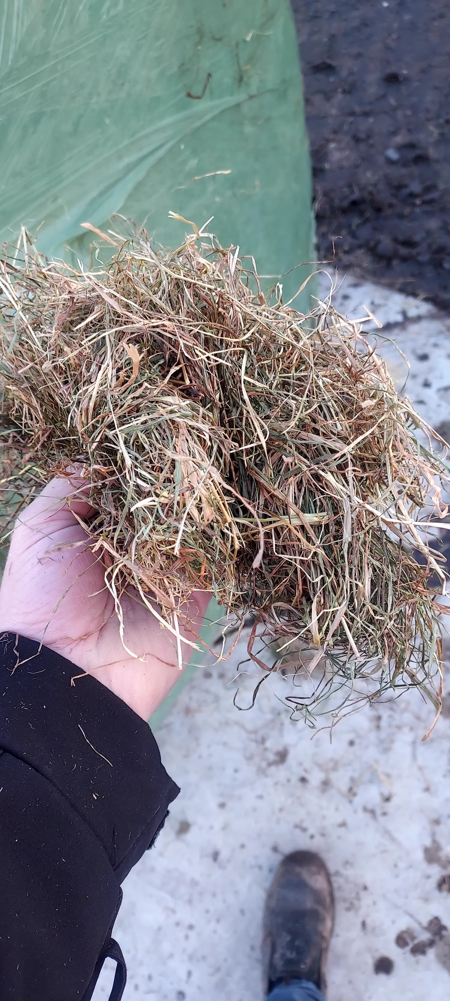 Ronde balen voor paarden | Topkwaliteit hooi