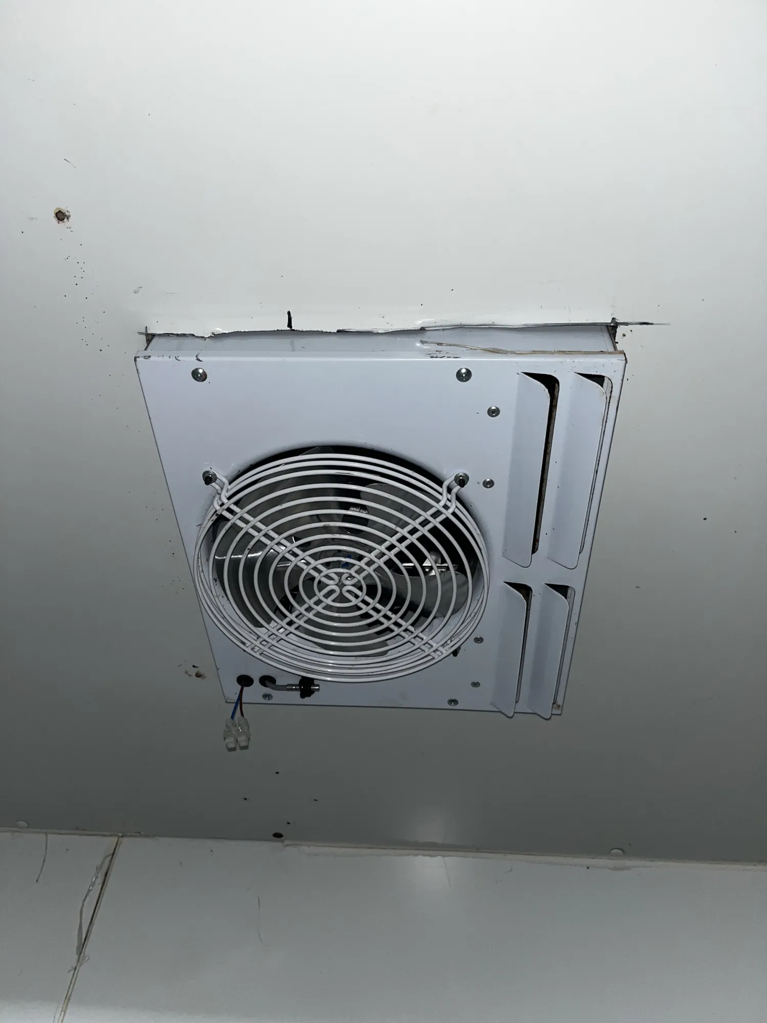 Chłodnia z Agregatem Zanotti - Idealna do Przechowywania