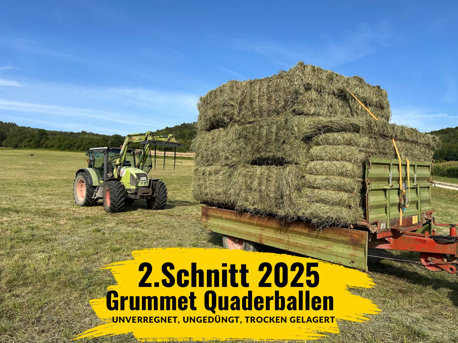 Grummet Heu Quaderballen 2. Schnitt zu verkaufen