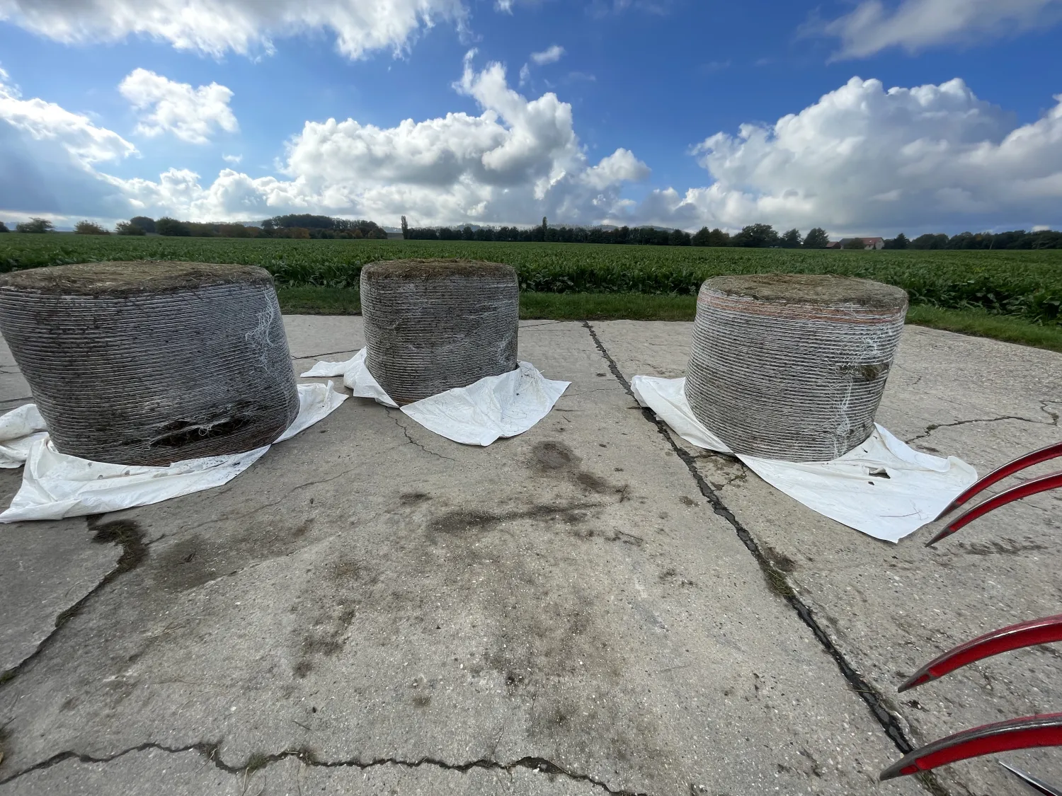 Високоякісний сінаж з конюшини у круглих тюках 1,20 м