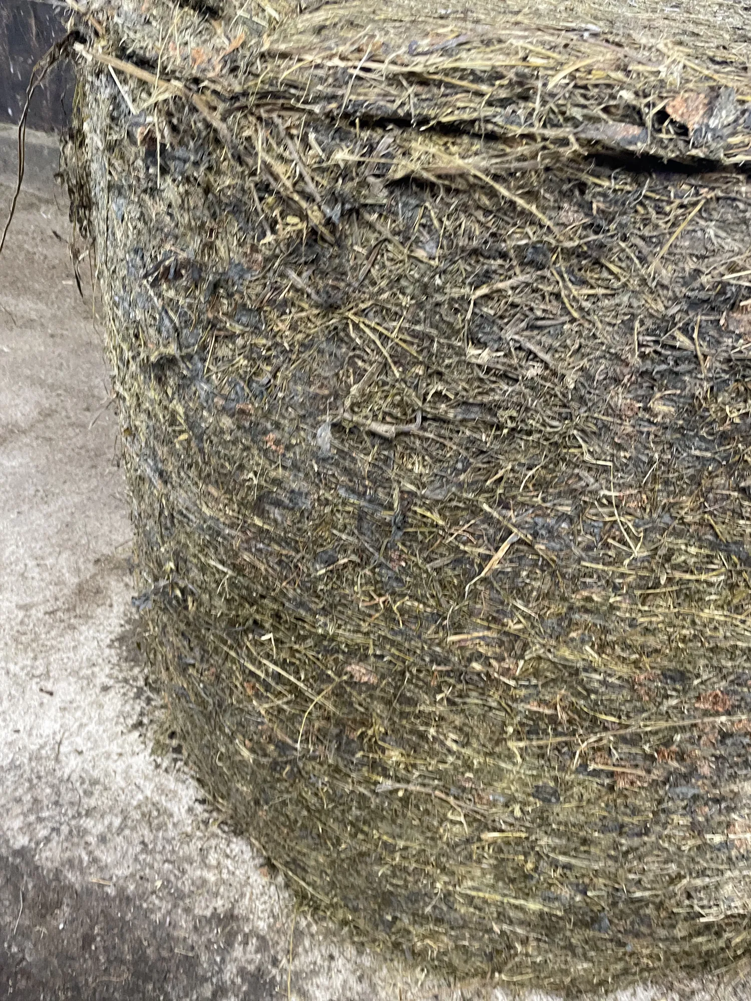 Високоякісний сінаж з конюшини у круглих тюках 1,20 м