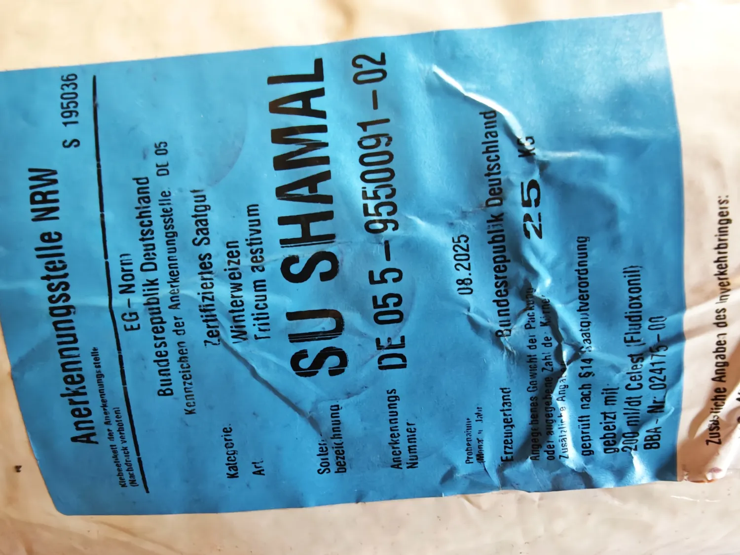 Wintertarwe zaaizaad Shamal - 100 kg te koop