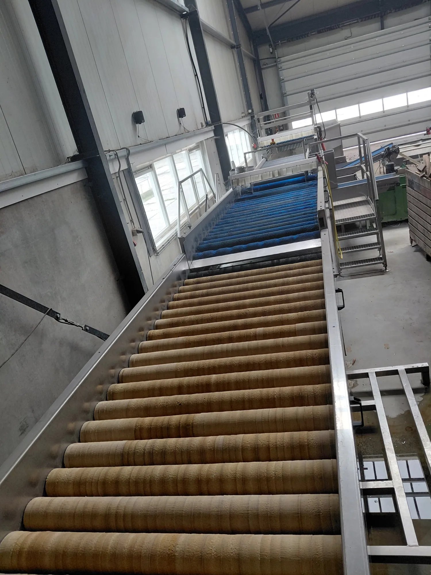 Complete was- en sorteerlijn voor pompoenen (2021)