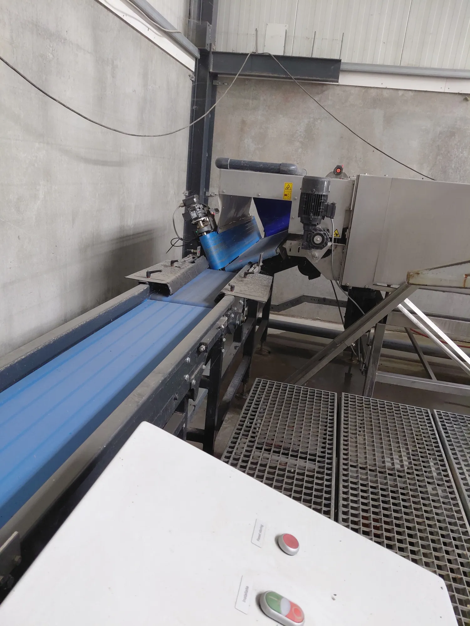 Complete was- en sorteerlijn voor pompoenen (2021)