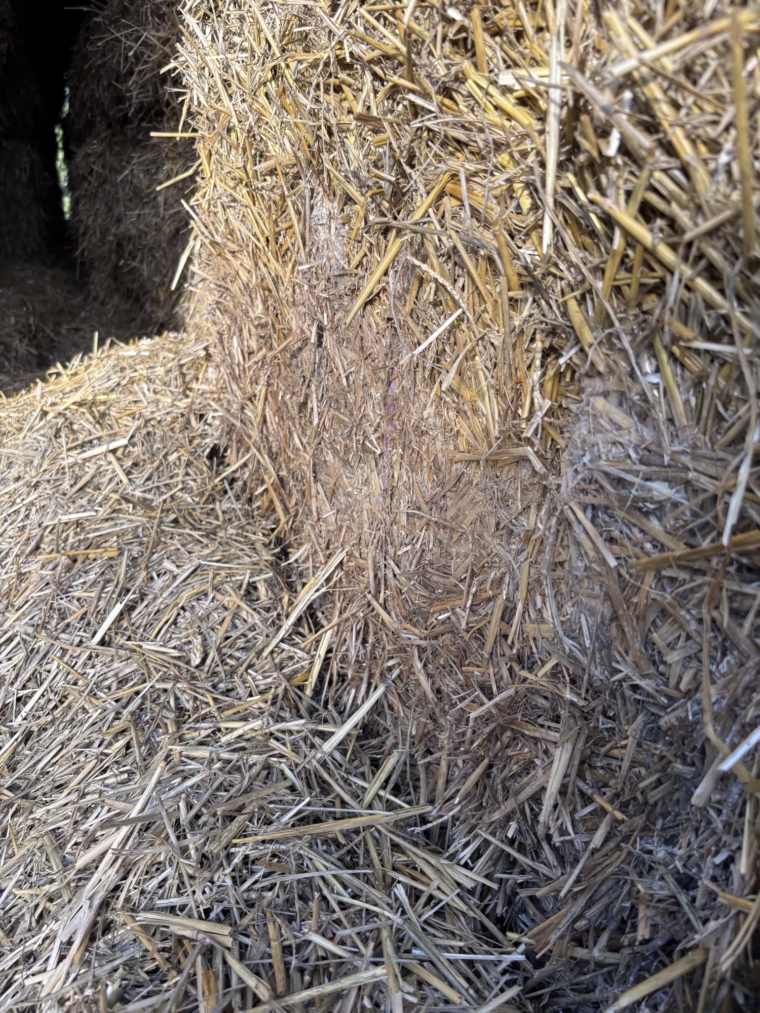 Straw bales for sale - Wheat & Barley