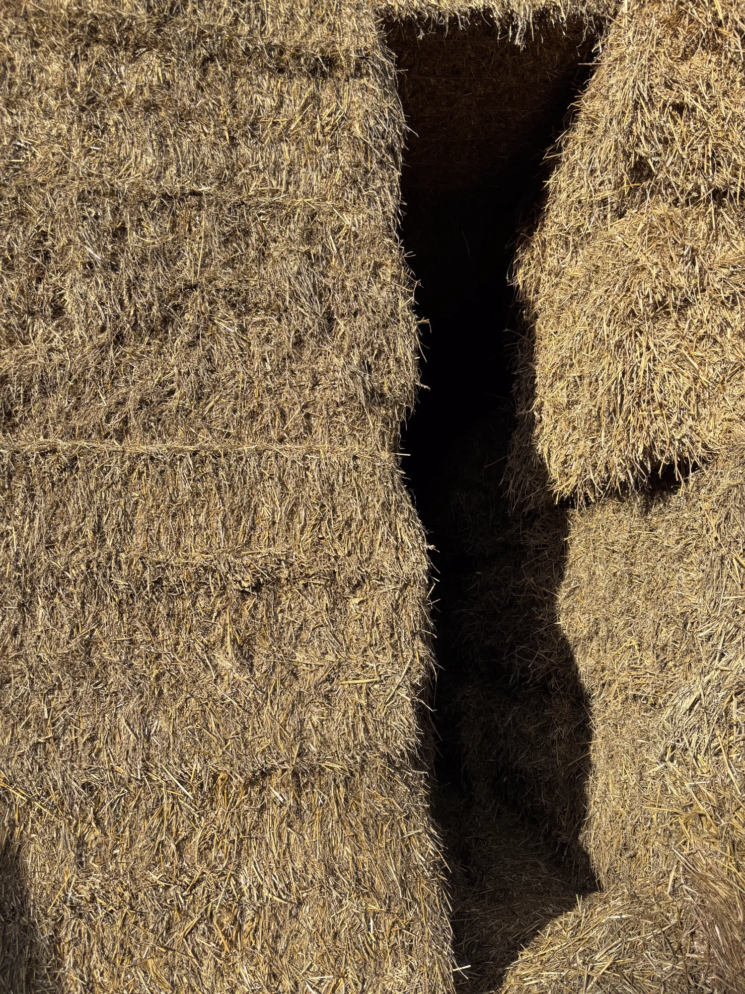 Straw bales for sale - Wheat & Barley