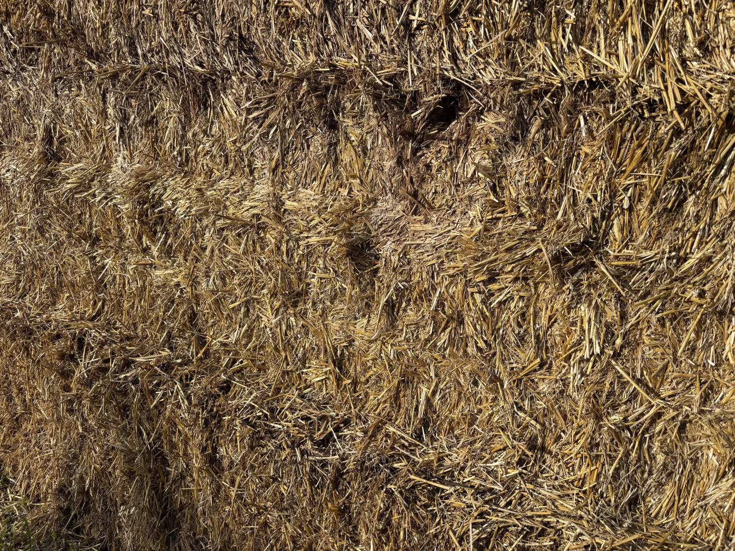Straw bales for sale - Wheat & Barley