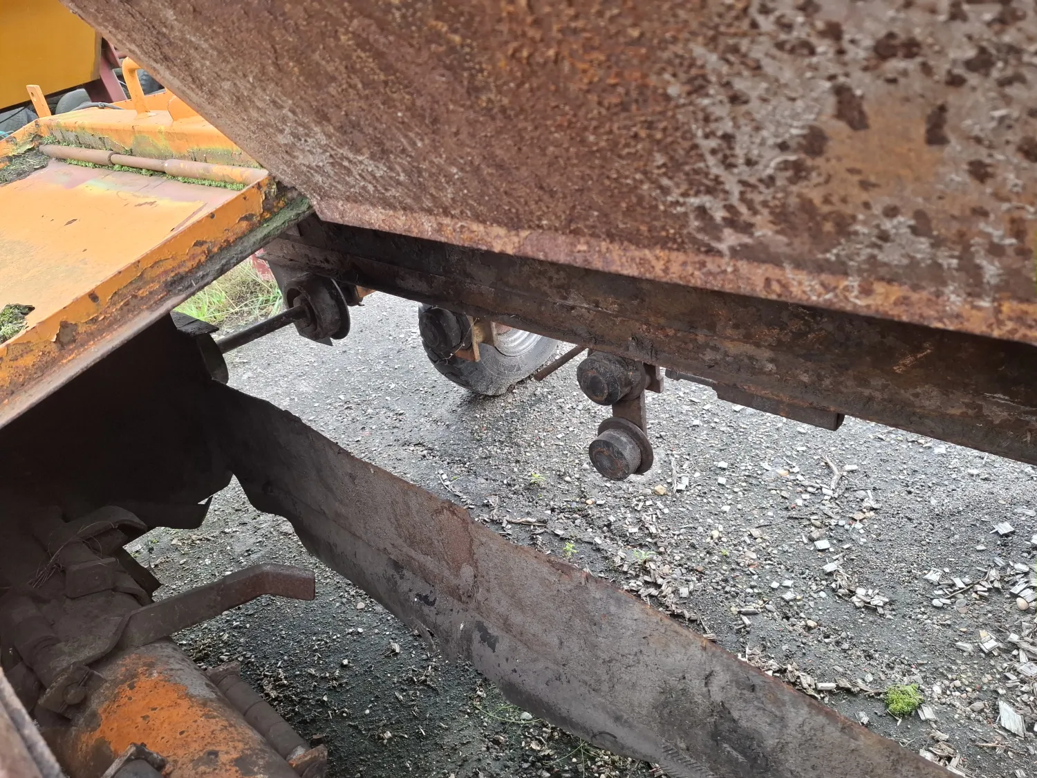 Loofklapper te koop | Struik | Beschadigd