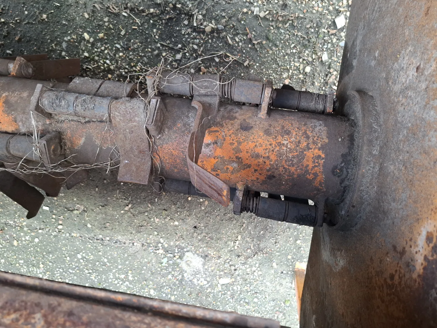 Loofklapper te koop | Struik | Beschadigd