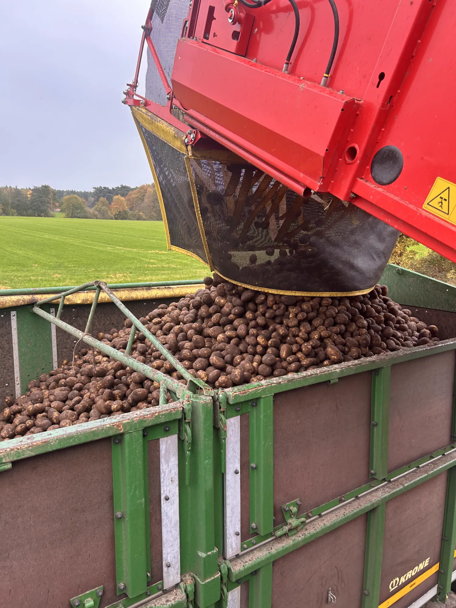 Różne pasze treściwe i płatki: Dostępne duże ilości