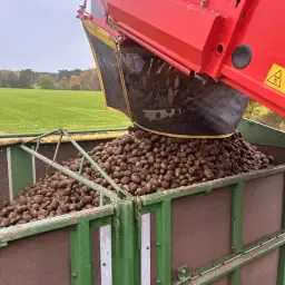 Różne pasze treściwe i płatki: Dostępne duże ilości