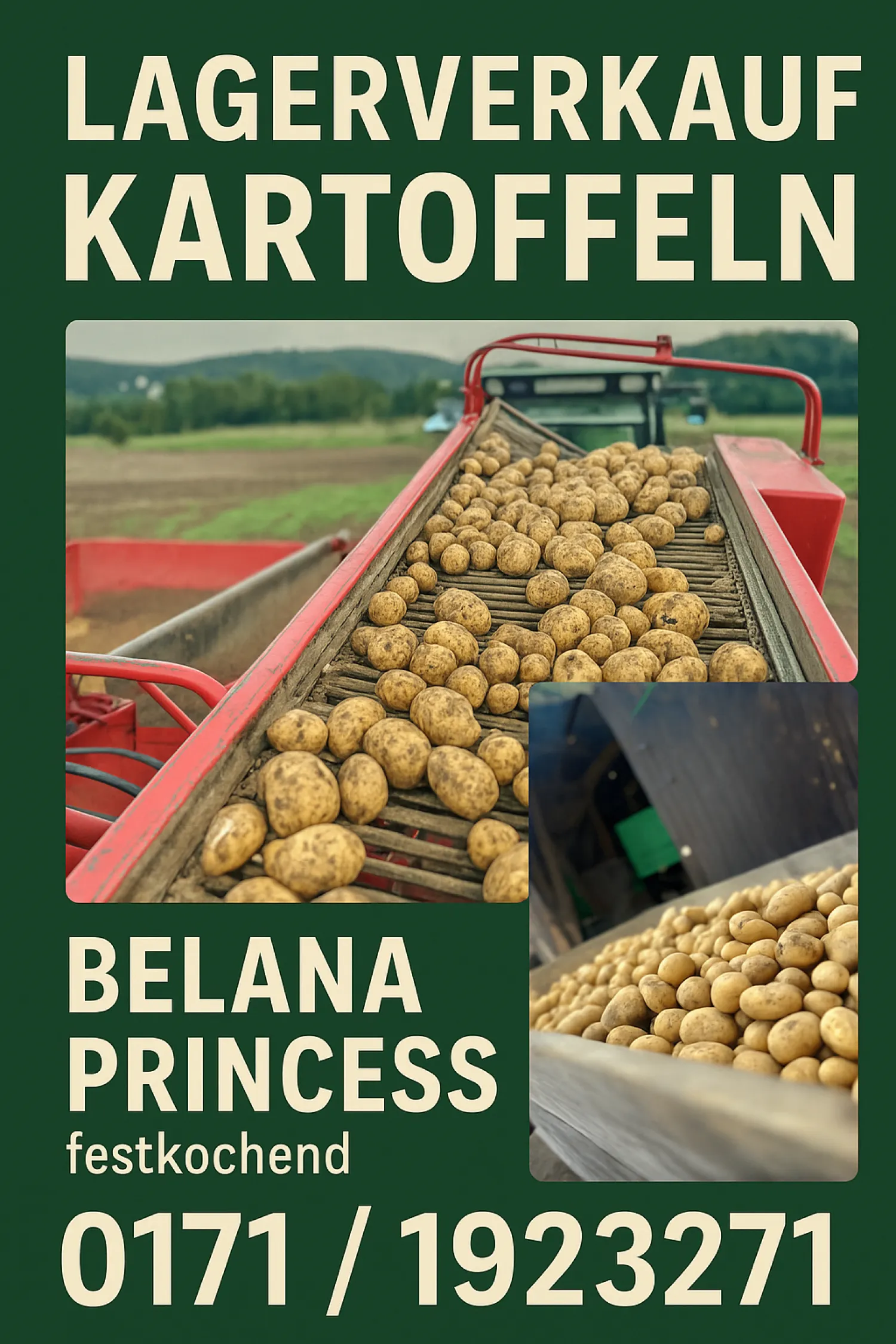 Aardappelen te koop - Belana & Princess