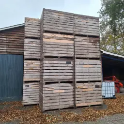 Gebrauchte Kartoffelkisten zu verkaufen - 20 Stück