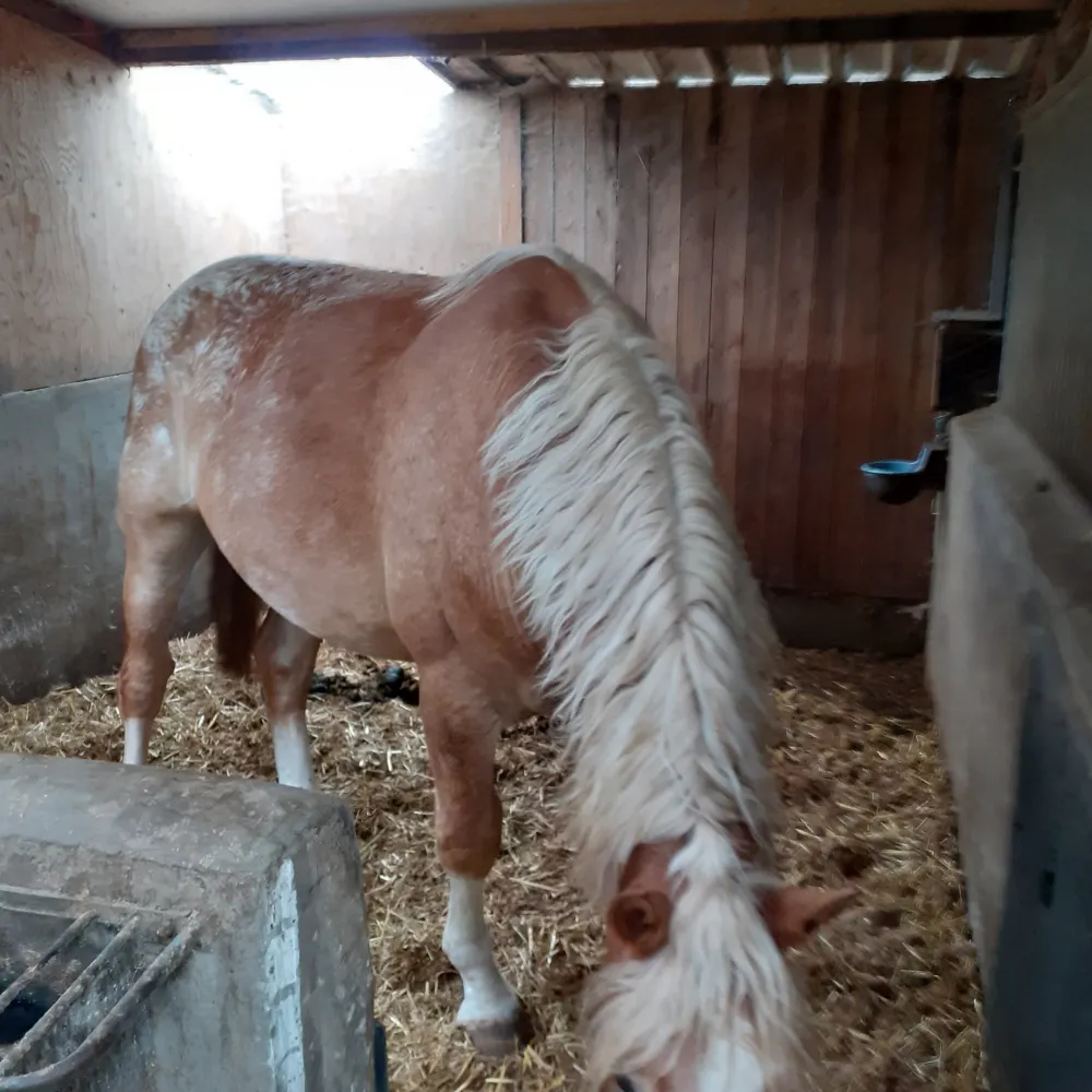 Ten voorde agrarische dienstve