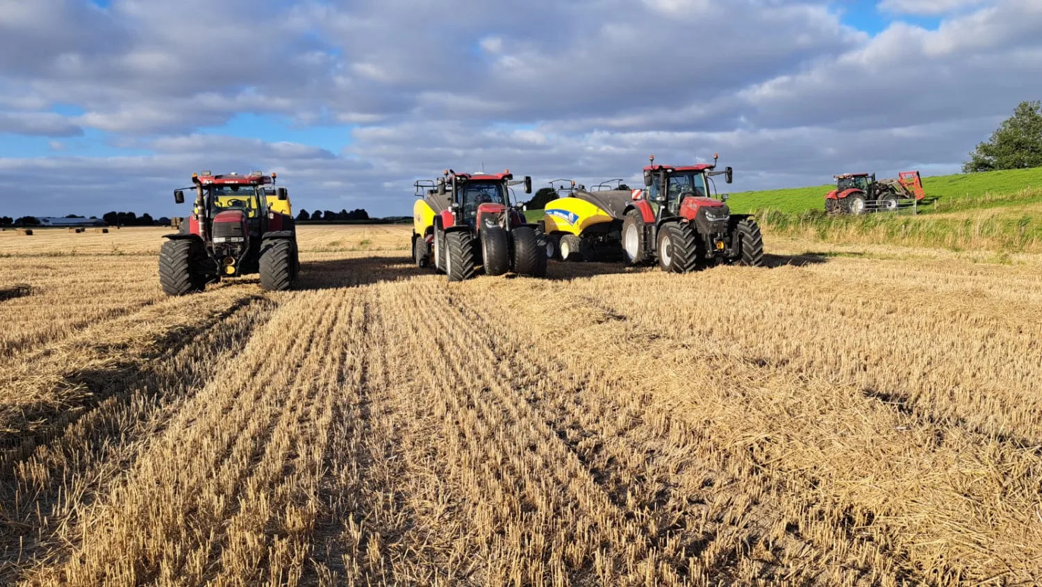 Stro, Hooi en Erwtenstro direct leverbaar | Topkwaliteit