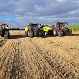 Wheat Straw, Hay & Pea Straw For Sale | High Quality