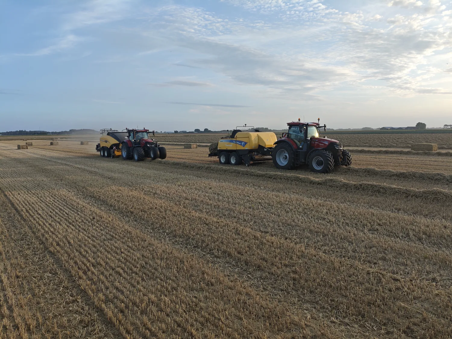 Stro, Hooi en Erwtenstro direct leverbaar | Topkwaliteit