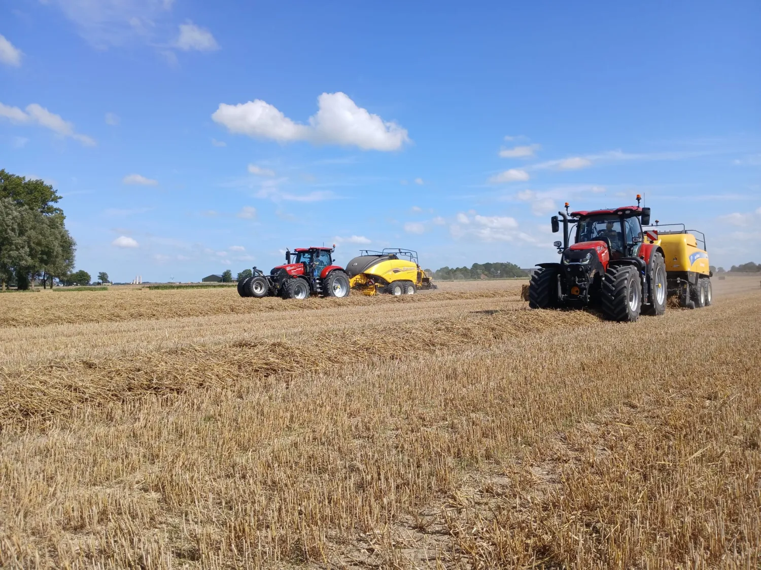 Stro, Hooi en Erwtenstro direct leverbaar | Topkwaliteit