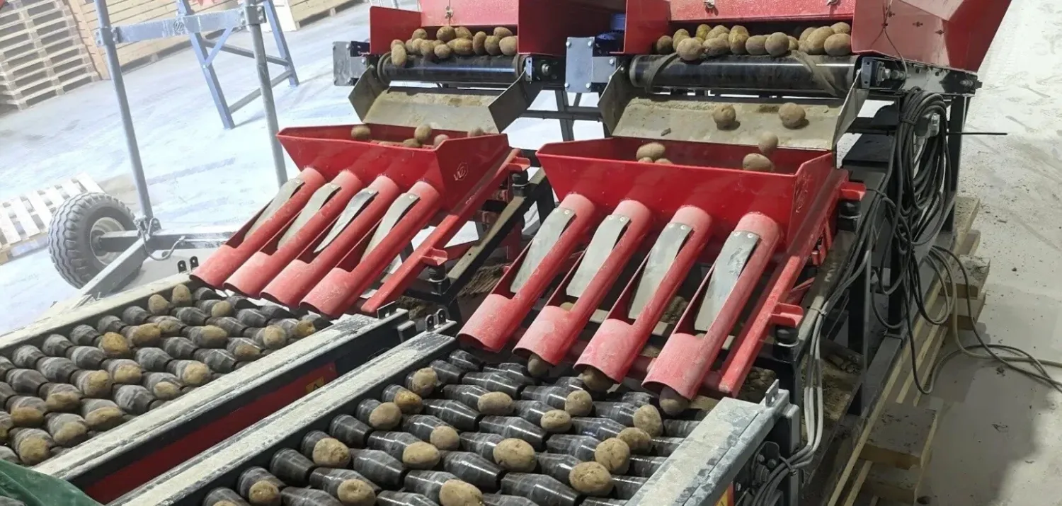 Gesneden Pootgoed: Bespaar Kosten & Verhoog Opbrengst