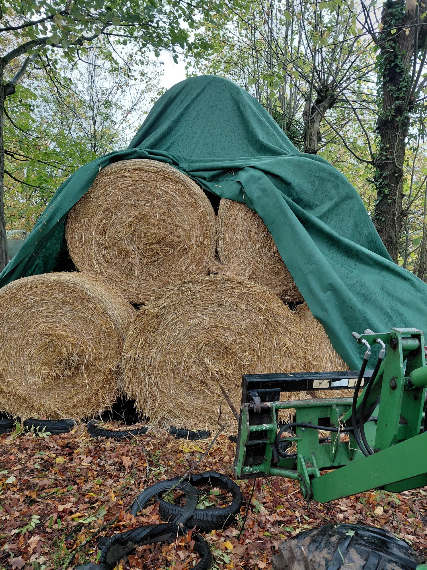 Hordeum- en Tarwestro 2025: Ronde balen (1.5m)