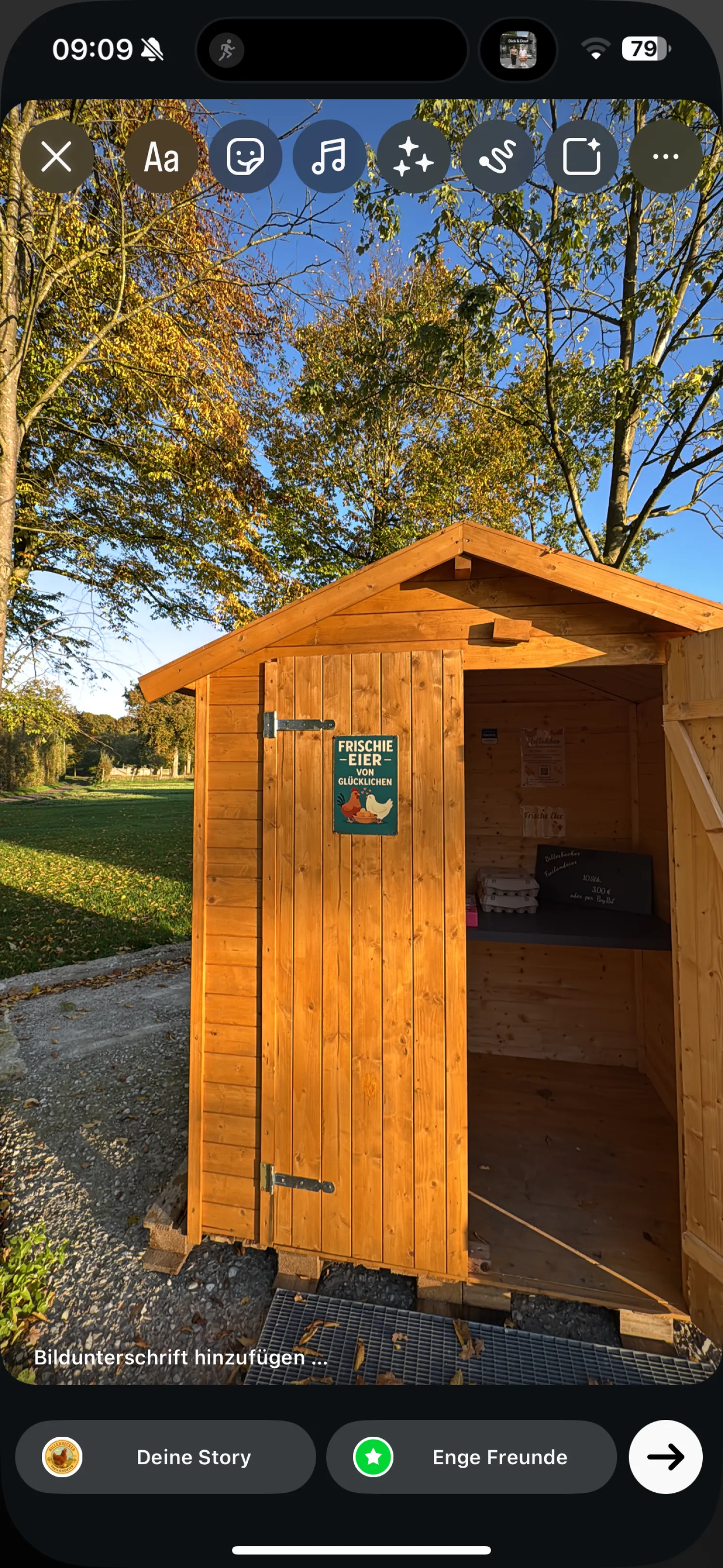 Ouă proaspete de găină crescute în aer liber, direct de la fermă