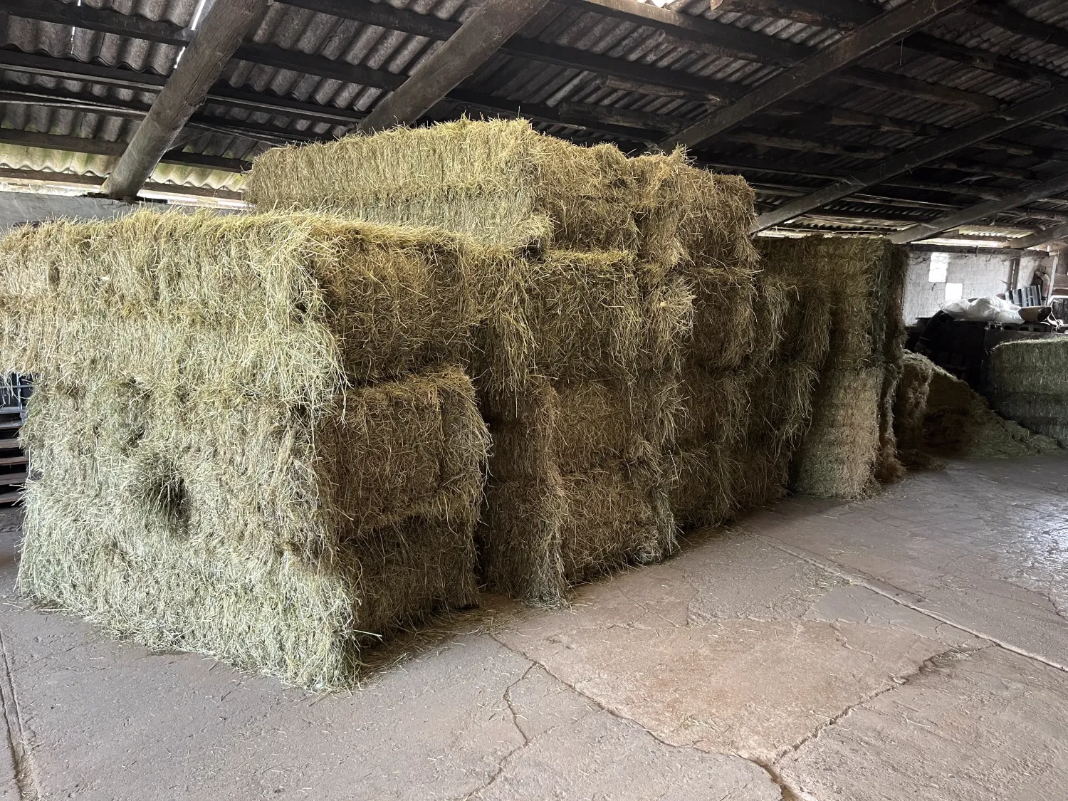 Top Wiesenheu zu verkaufen - 1. Schnitt 2025