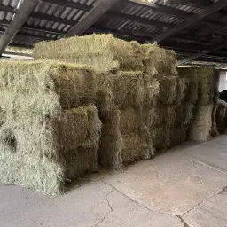 Υψηλής Ποιότητας σανός λιβαδιών προς πώληση - 1ο κοπή 2025