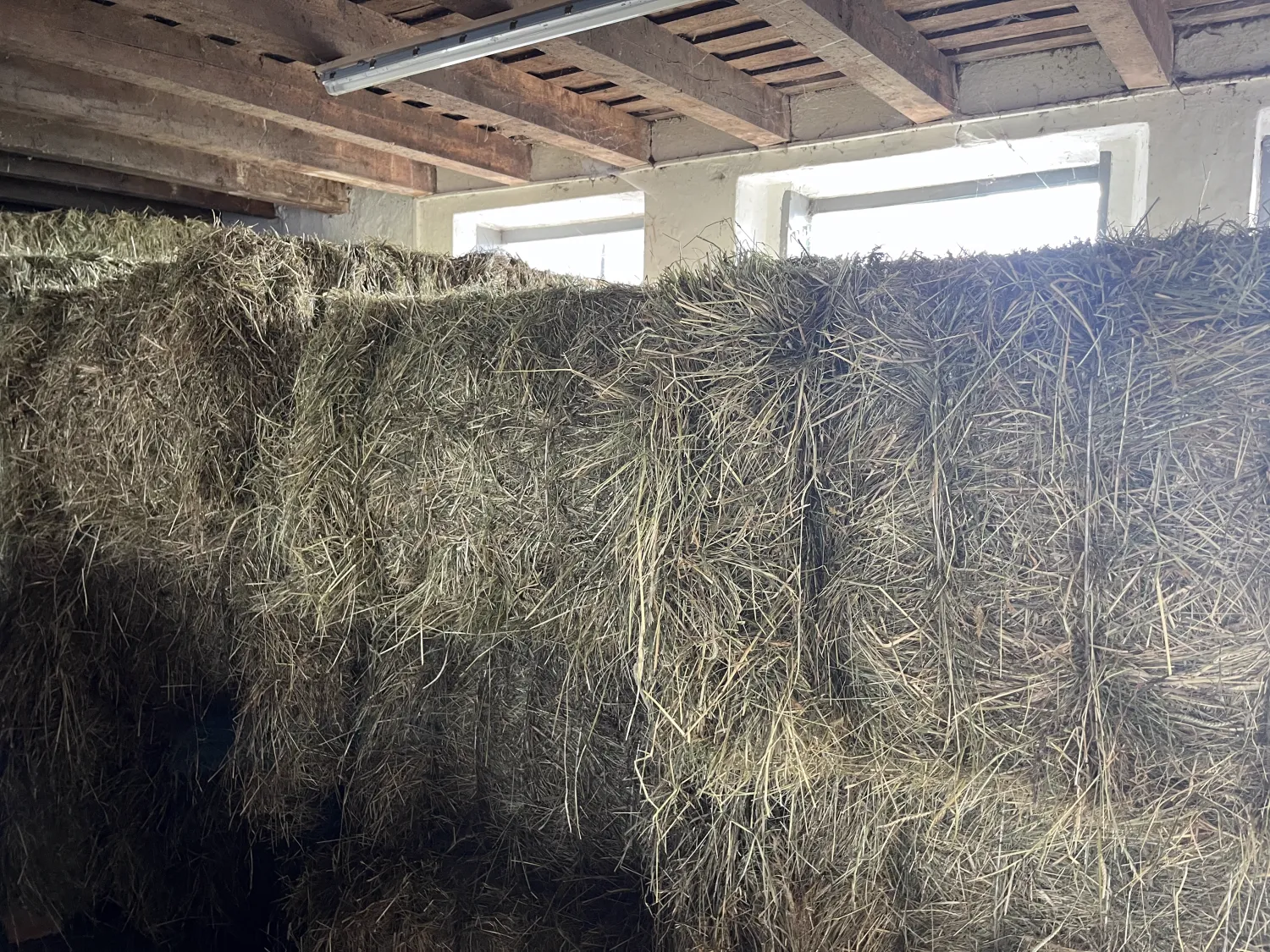 Top Wiesenheu zu verkaufen - 1. Schnitt 2025