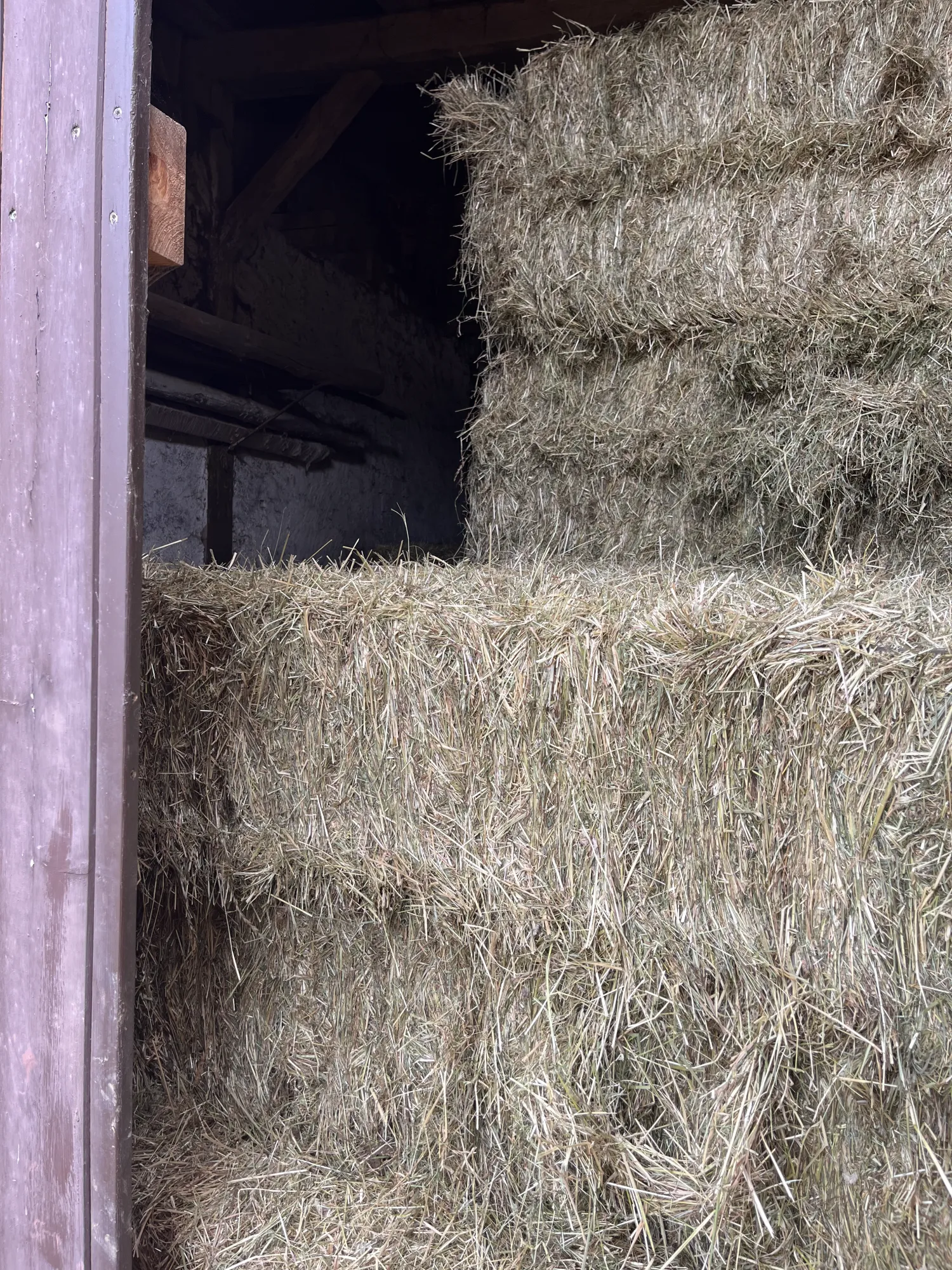 Top Wiesenheu zu verkaufen - 1. Schnitt 2025